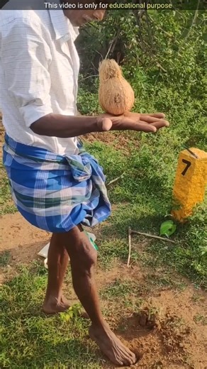 Water Divining Technique #shorts