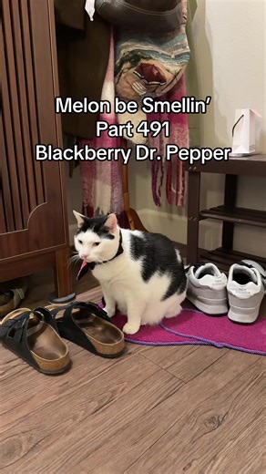 Melon Be Smellin’ with Blackberry Dr. Pepper