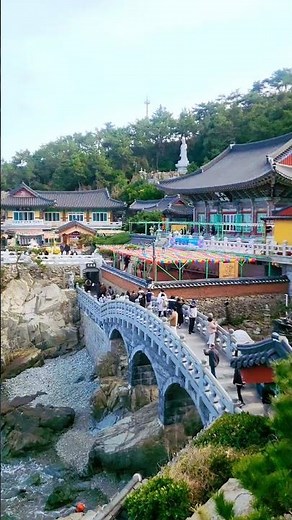Busan’s Famous Seaside Temple 🏯 Haedong Yonggungsa