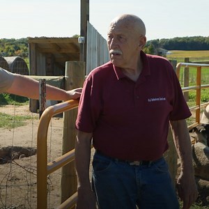 No food waste on Dr. Pol's watch—he's Dutch. 😉 Catch two new episodes of the #IncrediblePolFarm tonight at 10/9c on Nat Geo Wild. Stream on Disney . | Dr. Pol