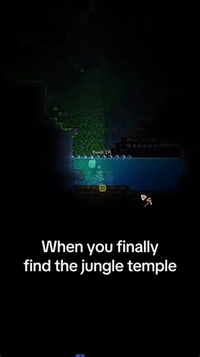 Kev0slice on Instagram: "Only thing worse is Plantera bulbs 🥀 #terraria"