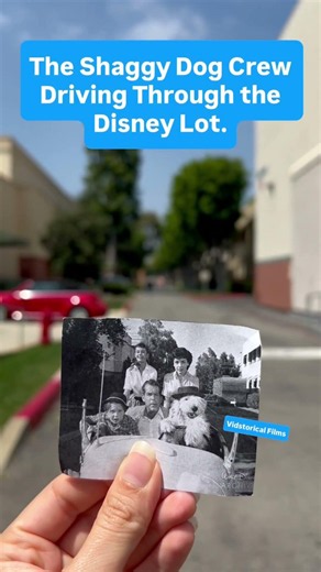 Shaggy Dog Fans! #Annettefunicello, #Fredmacmurray, and Tommy Kirk riding the #disney lot. #history