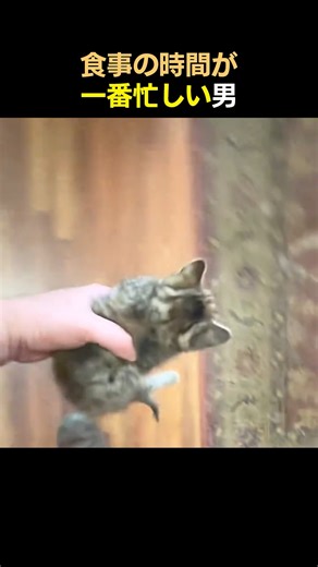 The man who is busiest at mealtimes