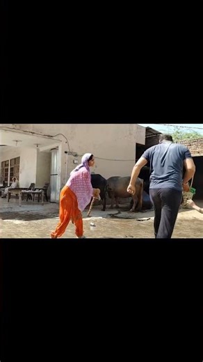 Holi special#Instagram#YouTube#shortsviral#popular#trending#reels#like#share#subscribe#reelscreator👍