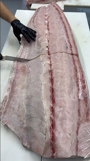 1lb Swordfish Steaks! How would you cook them!?