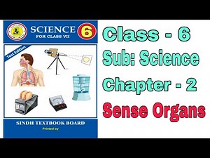 6th class science Chapter 2.Sense Organs Full Mcqs | Sindh textbook Mcqs