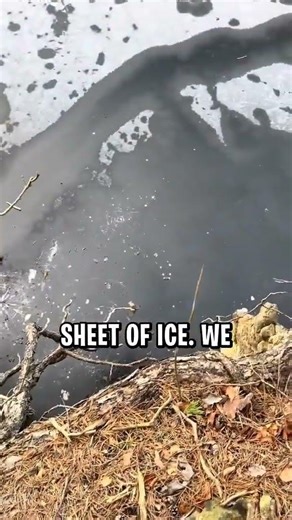 The sound of this ice breaking is SO satisfying! 🧊🔊🤯 #satisfying #icebreak #asmr #shorts