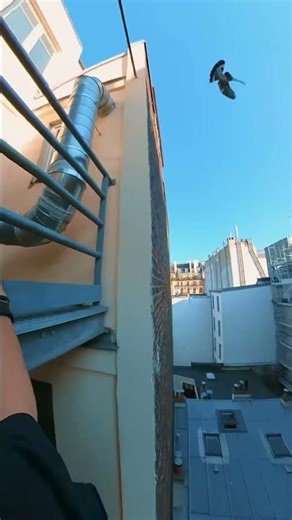 Insane Leap or Instant Regret?! 😵🧱 #InsaneJump #ParkourChallenge #LeapOfFaith