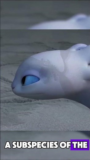 The Light Fury EXPLAINED! #httyd #httydedit #hiccstrid #dragon #toothless #httyd2 #httyd1 #shorts