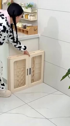 Guide About How To Choose Foldable Storage Cabinet Options That Helps Keep Items Neat And Mobile. | TrailBuzz