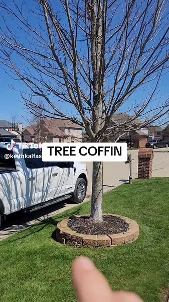 NEVER build a retaining wall around a landscaping customer's tree. Or any tree. Why? #landscaping #lawn care #landscapingtips