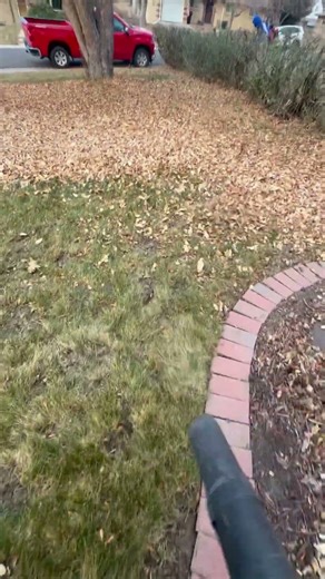 Leaf clean up #redmax #satisfying #leafcleanup