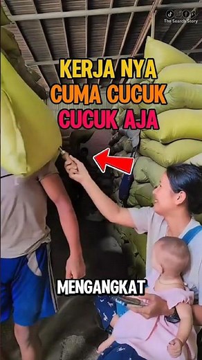 This is how the rice sampling tool works #facts #unique #information