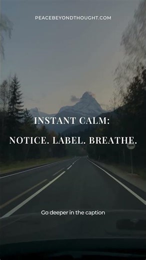Practice observing, not absorbing.