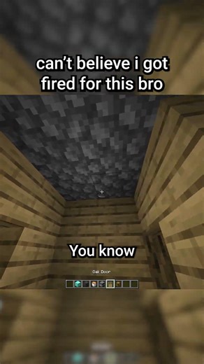 i got fired for this bro
