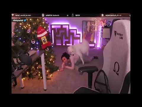 Alinity Dog Compilation