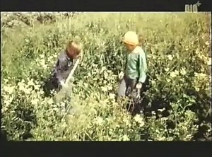 Оставьте нас одних / La' Os Vaere / Leave Us Alone 1975, Дания -(ZB) — Видео от Zxcv Zbi