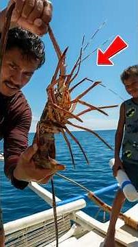 Traditional Lobster Trap Fishing How Divers Use Bamboo Tubes Underwater
