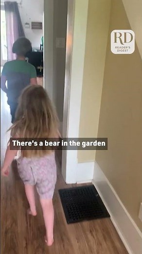 A Funny Bear Prank