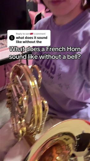 French Horn Sound Tested Without the Bell