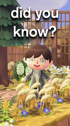 New Animal Crossing New Horizons Update Patch 2.0.6