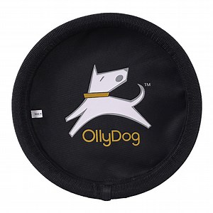 Flyer Disc | Frisbee Toy