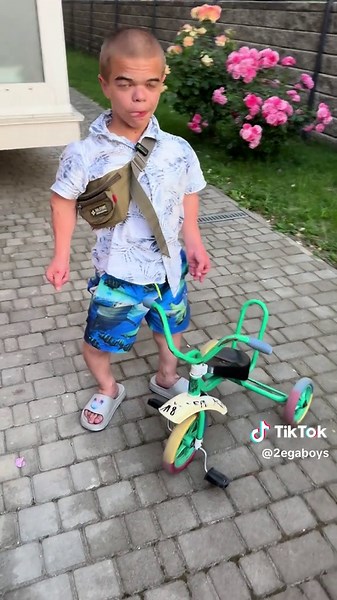 Understanding Mustang Expenses and Maintenance