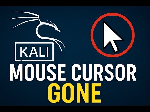 kali linux no mouse pointer, kali linux update problem, kali linux apt update.