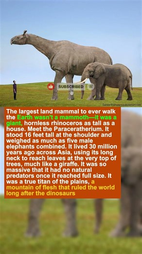 The Mammal That Made Elephants Look Like Ants
