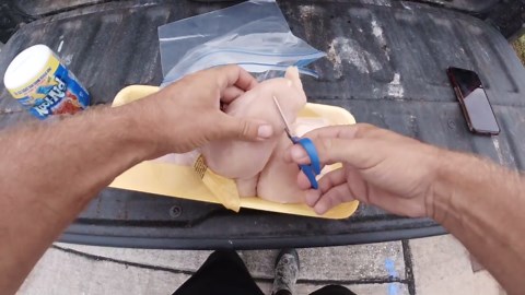 Pond fish can’t resist a bait made from kool-aid chicken