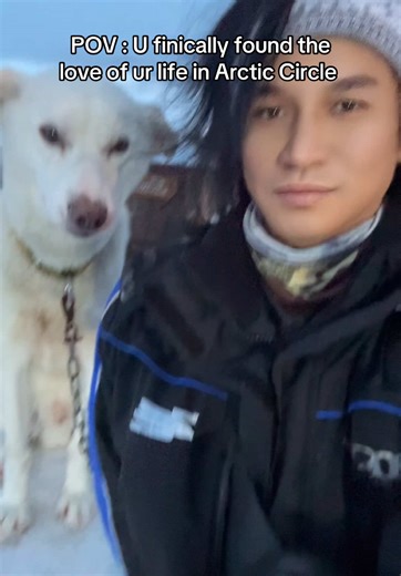 I found him #husky #tromso #norway #huskyride