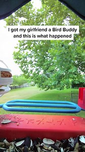 315 reactions · 163 shares | Don’t let this deal fly away! 列 Bird Buddy’s Spring Sale is here, and you can save up to 40% on our smart bird feeders.  Offer ends soon—shop now and bring nature closer to home! | Birdbuddy | Facebook