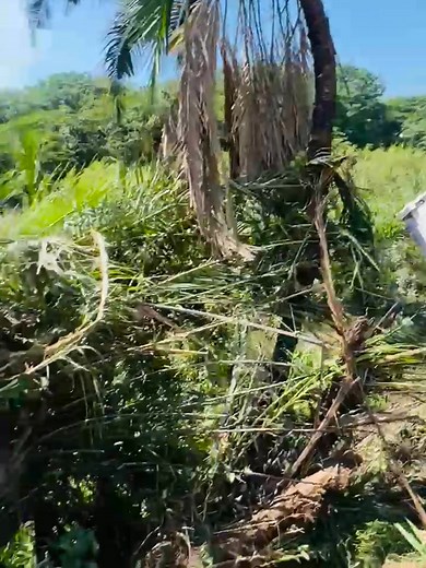 Truck Crash on N2 South Before Umlazi Offramp. ALSParamedics On Scene 10:26 • November 4 | Nancy Palien