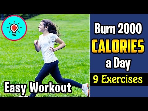 9 Best Exercises To Burn 2000 Calories A Day - Whats Best