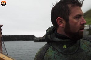 385K views · 10K reactions | The Dodo Of The North Part 8 - हिन्दी डॉक्यूमेंट्री #animals #wildanimals #Jungle #documentary #WildlifeTelecast | Beyond The Wild | Facebook