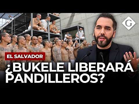 Bukele Considers Releasing 50% of Gang-Linked Prisoners in El Salvador | World Business