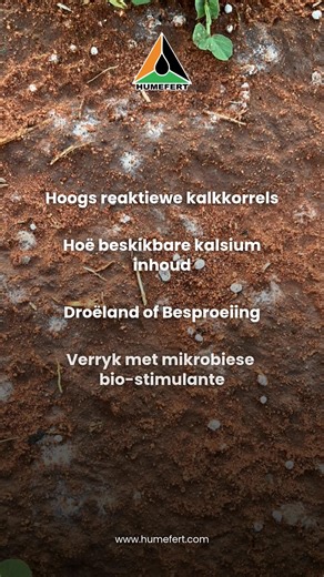 💪 Make soil compaction and poor water infiltration a thing of the past! Manna Matrix’s micro-fine lime granules, biologically enriched with Humefert’s bio-stimulants, bring new life to your soil. 🌱 📍 Book your free farm visit: humefert.com/free-gratis #HumefertFarming #MannaMatrix #SoilHealth #SmartFarming #FertileSoil 💪 Maak grondverdigting en swak waterinfiltrasie iets van die verlede! Manna Matrix se mikro-fyn kalkkorrels, biologies verryk met Humefert se bio-stimulante, bring nuwe lewe i