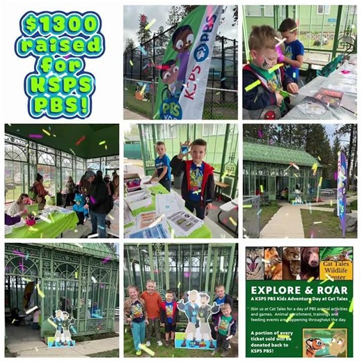 KSPS PBS day at Cat Tales!