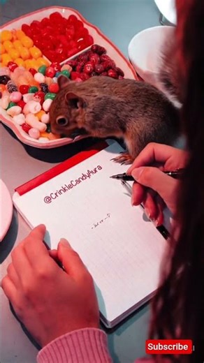 Relaxing ASMR Candy Eating Sounds 🍬 Crunchy & Sticky Candy Compilation | ASMR videos #whisperroom