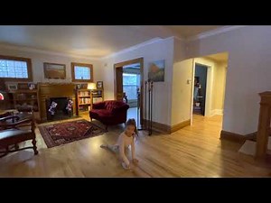 ￼ Learning how to do gymnastics with sky! Part 1 easy-medium￼￼