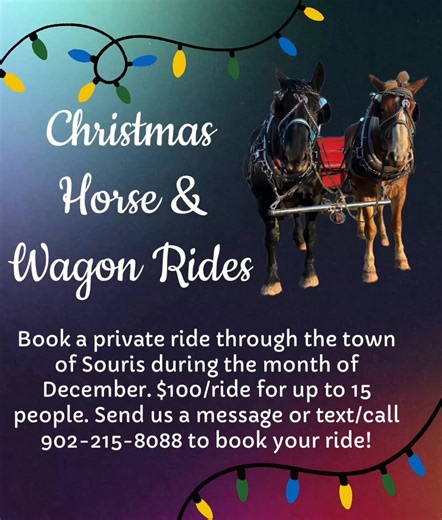 Get a group together and enjoy a horse & wagon ride this Christmas season. Book a ride during the day or during the evening to enjoy the lights! | Red House Stables