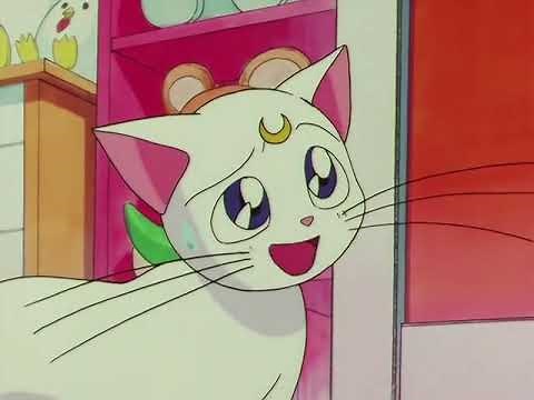 Minako Angry at Artemis (ViZ Media Dub)