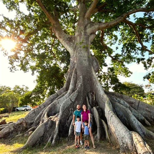 Over the last four years, we have been working on the following in the Dominican Republic. • A well situated site location, staff housing and transportation • Strong local church relationships and involvement • A growing understanding of the needs, culture, and customs • Life-giving friendships with other missionaries and locals • Ongoing spiritual maturity and leadership ability. • Connection with a like-minded ministry in a marginalized community • The development of DNA in our team-working th