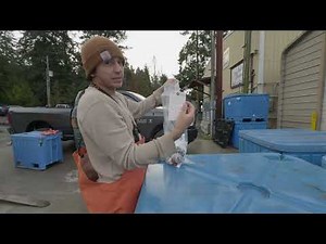 Salmon Shellfish And The People Of The Water