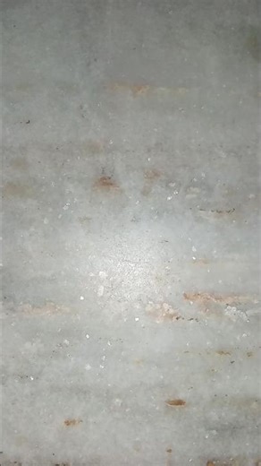 1947 British India coin. George VI king 👑 Emperor nickel coin.