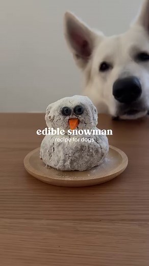 This edible snowman snack is almost too cute to eat! ☃️ Recipe from our friend @emwng: • Crush @stellaandchewys freeze dried morsels into powder • Mix with 1 egg and water • Form into two “meatballs” • Roll in powdered goats milk • Assemble and decorate with carrot and blueberries | Stella & Chewy's