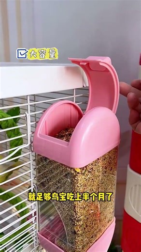 🦜Macaw Parrot Sound ( Singing and ! ) #shortsParrot sound effects🦜 | Animals| Parrot Sound