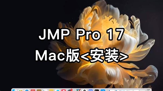 JMP 17 for mac安装全程视频教程
