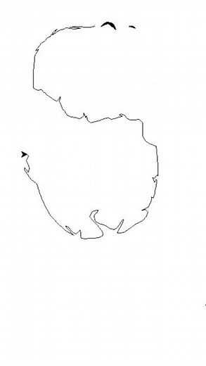 How To Make Joker's Face 🤡🃏 In Python Turtle | Source Code | #shorts #codewithimtiaj #joker #python