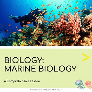 Marine Biology Workbook & Activities | Ocean Life | A Comprehensive Lesson